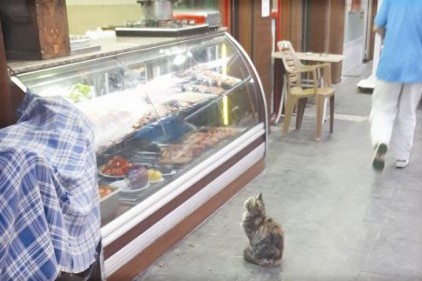 İşte tam da ciğere bakmak budur!