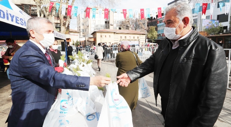 İstiyoruz ki her yer ağaç ve yeşil alan olsun