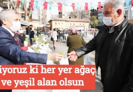 İstiyoruz ki her yer ağaç ve yeşil alan olsun