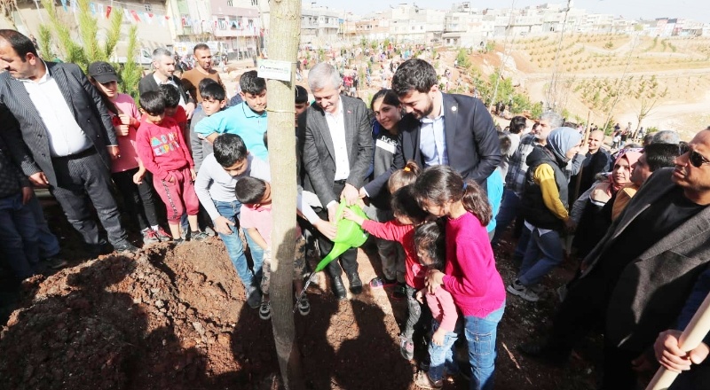 “İstiyoruz ki herkesin dikili bir ağacı olsun”
