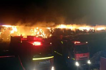 İtfaiye, onlarca hayvanın telef olmasını önledi