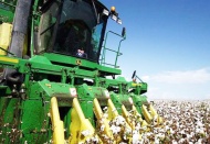 “İthal edilen tohumlarda GDO’ya rastlandı” iddiası