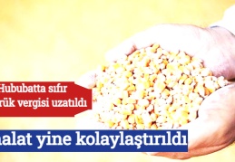 İthalat yine kolaylaştırıldı