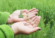 İthalata değil, yerli üretime destek olunmalı