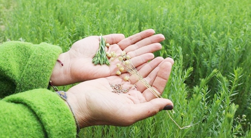 İthalata değil, yerli üretime destek olunmalı