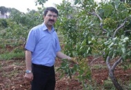 İyi bir rekolte bekliyoruz