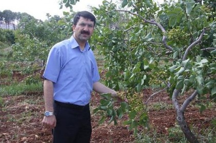 İyi bir rekolte bekliyoruz