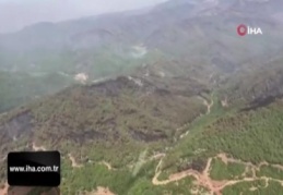 İzmir'in ormanlarında yürekleri sızlatan acı bilanço