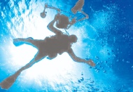 Japonya açıklarında 273 milyon yıllık 'yaşayan fosiller' keşfetti