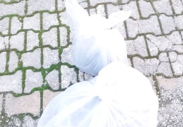 Kablo hırsızı yakalandı