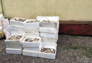 Kaçak avlananlara ceza yazıldı