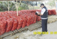 Kaçak sebze- meyve denetim altında