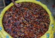 Kaçakçılık türleri artıyor