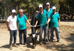 Kaçan kurbanlıklar için droneli özel ekip kuruldu