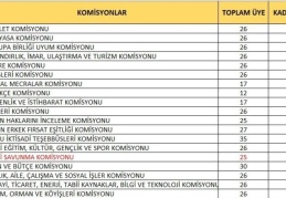 KA.DER Başkanı Nuray Karaoğlu: Cumhuriyet tarihi boyunca 20 il hiç kadın milletvekili çıkaramadı