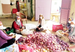 Kadın kaymakam, kadınlarla patlıcan oydu