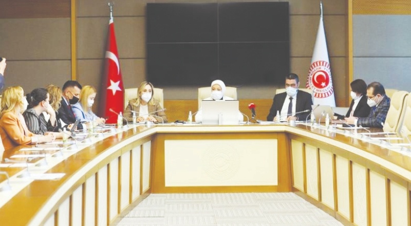 Kadına Şiddet Komisyonu'nda yalnızca AKP ve MHP üyeleri kaldı