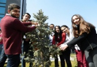 'Kadına şiddete dur de' sloganıyla fidan dikildi
