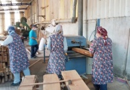 Kadınlar patronu oldukları mesleklerde daha başarılı