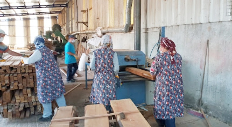Kadınlar patronu oldukları mesleklerde daha başarılı