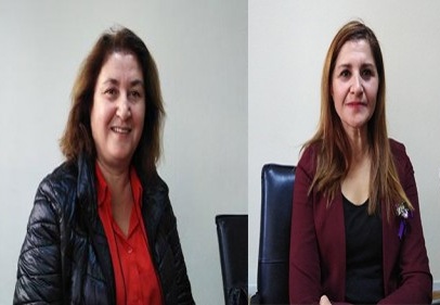 ‘Kadınlar şiddeti, cinayeti gördükçe evlilikten kaçıyor’