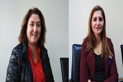&#8216;Kadınlar şiddeti, cinayeti gördükçe evlilikten kaçıyor&#8217;