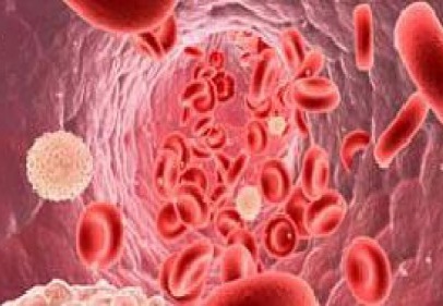 Kadınlarda ilk sırayı yüzbinde 45.9 ile meme kanseri aldı