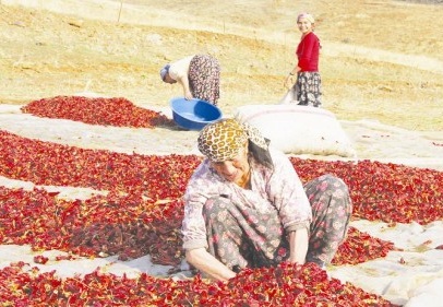Kadınlarımızı eğitemezsek tarımda verimlilik hayaldir