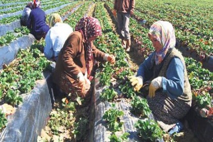 Kadınların iş gücüne katılım oranı yüzde 32,5