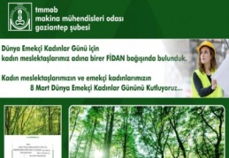 ‘Kadınların sorunu çözülmeden toplumun sorunları çözülemez’