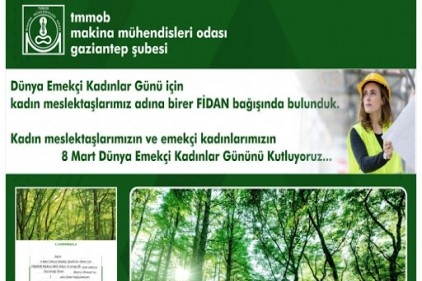 ‘Kadınların sorunu çözülmeden toplumun sorunları çözülemez’