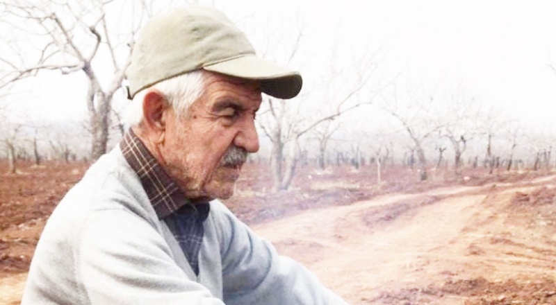 Kafasını yere çarpan yaşlı adam 12 gün sonra öldü