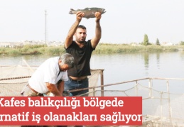 Kafes balıkçılığı bölgede alternatif iş olanakları sağlıyor