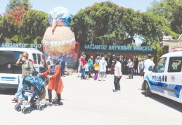 Kafesini parçalayarak kaçan aslan, 3 bakıcıyı yaraladı