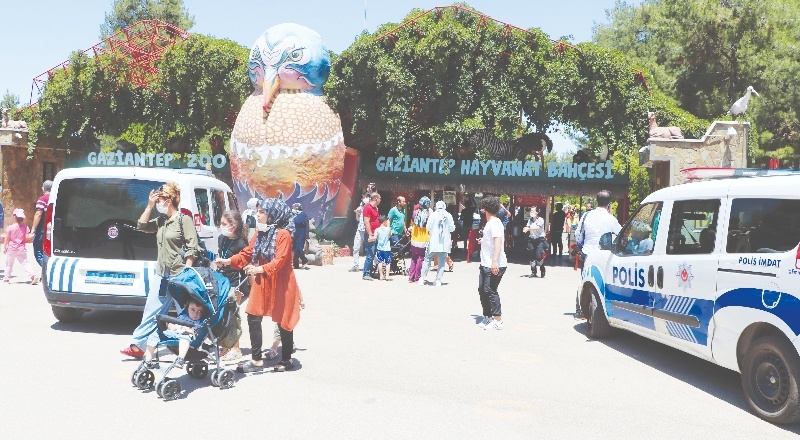 Kafesini parçalayarak kaçan aslan, 3 bakıcıyı yaraladı