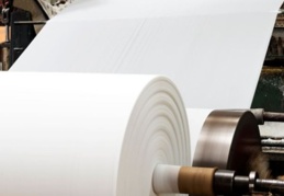 Kağıt sektöründe büyük kriz: Gazeteler kapandı, yayınevleri battı