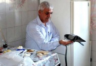 Kahvaltı sofrasını davetsiz misafiriyle paylaşıyor 