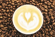 'Kahvenin yetiştiği alanlar yarı yarıya azalacak'