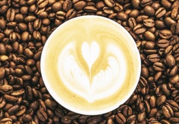 'Kahvenin yetiştiği alanlar yarı yarıya azalacak'