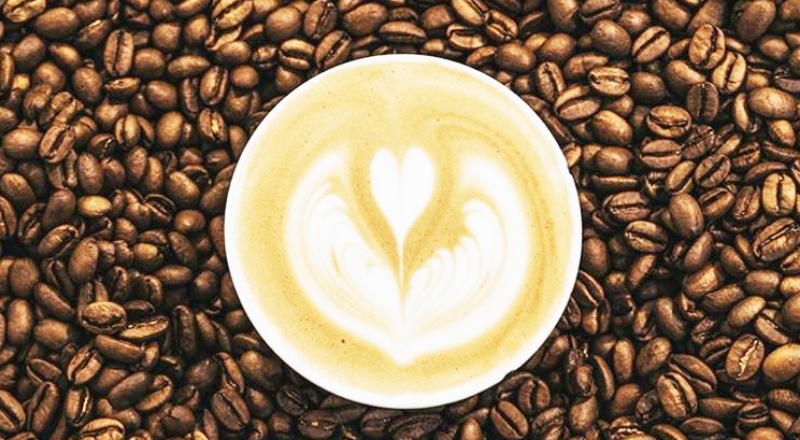 'Kahvenin yetiştiği alanlar yarı yarıya azalacak'