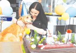 Kaktüs’e sürpriz doğum günü partisi