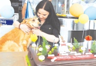 Kaktüs’e sürpriz doğum günü partisi