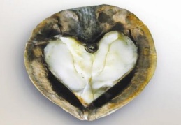 Kalbe de beyne de iyi geliyor