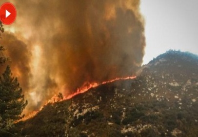 Kaliforniya’da OHAL ilan edildi