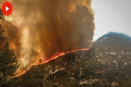 Kaliforniya&#8217;da OHAL ilan edildi