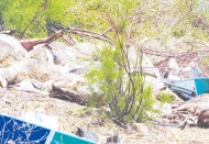 Osmaniye’de kamyon tıra çarptı: 1 ölü, 2 yaralı