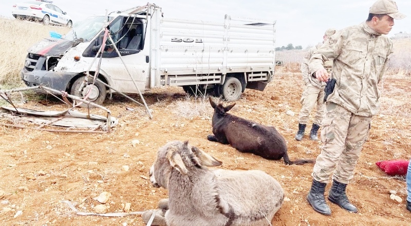 Kamyonet şarampole devrildi