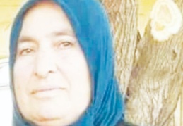 Kamyonetin çarptığı kadın hayatını kaybetti