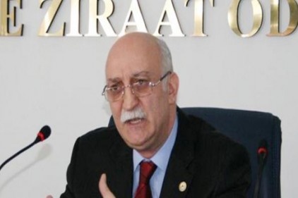 Kanatlı sektörü yıla iyi başladı