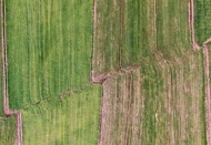 Kandilli Rasathanesi Müdürü: Bölgede 7-8 metreye varan kaymalar gözleniyor